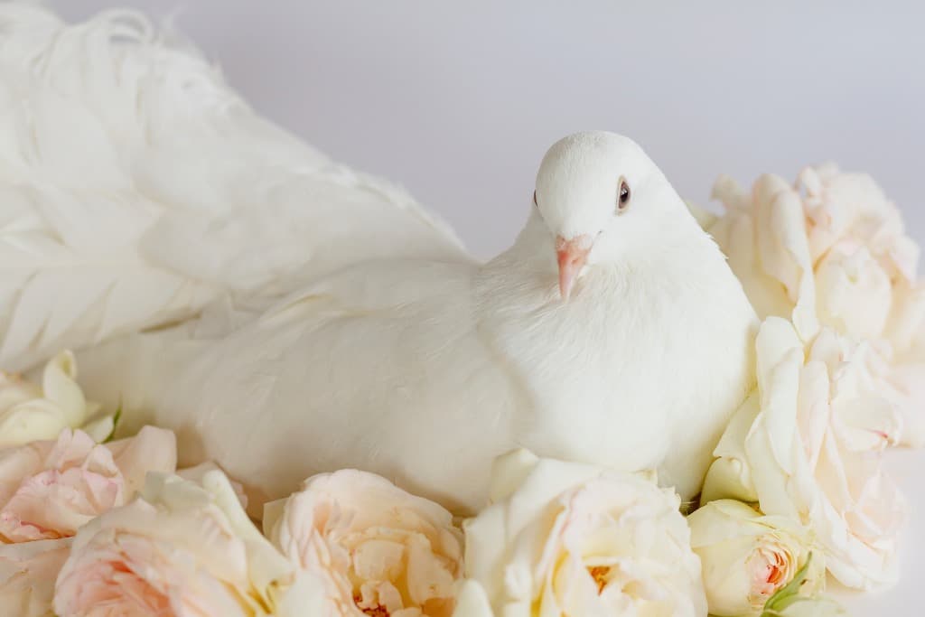 Salmo 35, Dios te ayuda en momentos de sufrimiento